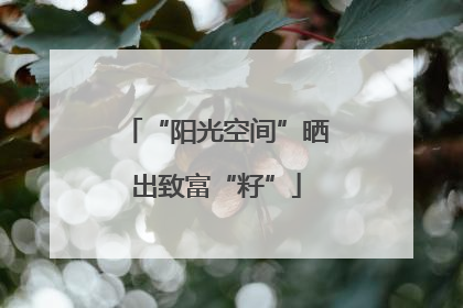 “阳光空间”晒出致富“籽”