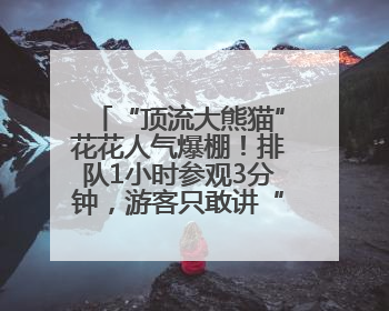 “顶流大熊猫”花花人气爆棚！排队1小时参观3分钟，游客只敢讲“悄悄话”