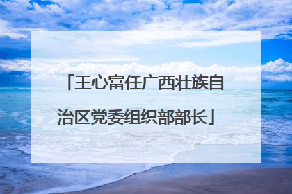 王心富任广西壮族自治区党委组织部部长