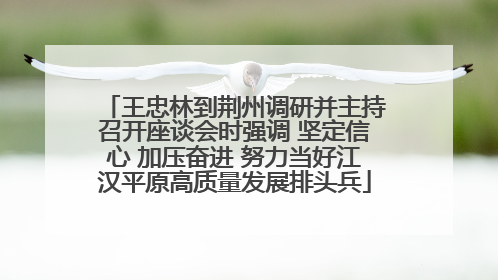 王忠林到荆州调研并主持召开座谈会时强调 坚定信心 加压奋进 努力当好江汉平原高质量发展排头兵