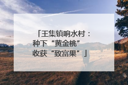 王集镇响水村：种下“黄金桃” 收获“致富果”