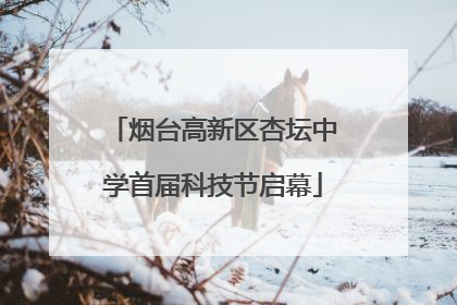烟台高新区杏坛中学首届科技节启幕