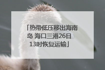 热带低压移出海南岛 海口三港26日13时恢复运输