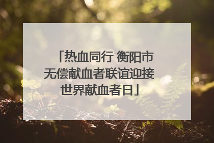 热血同行 衡阳市无偿献血者联谊迎接世界献血者日