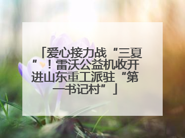 爱心接力战“三夏”！雷沃公益机收开进山东重工派驻“第一书记村”