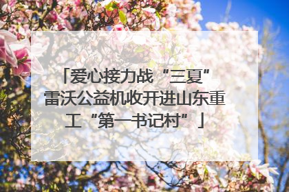 爱心接力战“三夏” 雷沃公益机收开进山东重工“第一书记村”