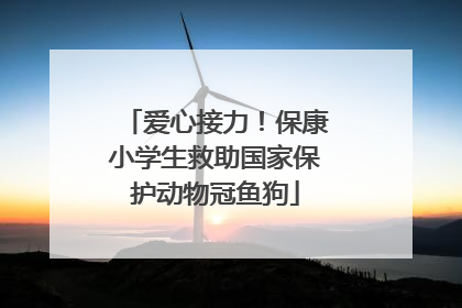 爱心接力！保康小学生救助国家保护动物冠鱼狗