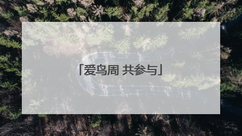 爱鸟周 共参与