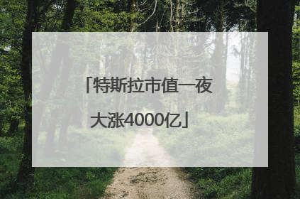 特斯拉市值一夜大涨4000亿