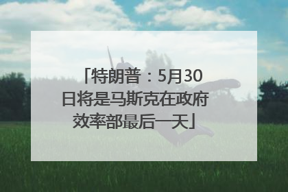 特朗普：5月30日将是马斯克在政府效率部最后一天