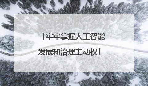 牢牢掌握人工智能发展和治理主动权