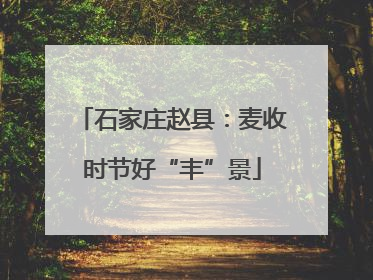 石家庄赵县：麦收时节好“丰”景