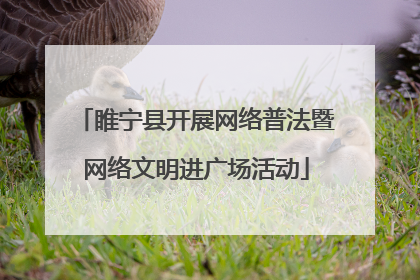 睢宁县开展网络普法暨网络文明进广场活动