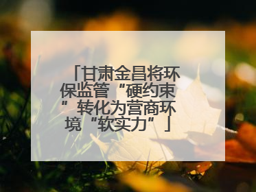 甘肃金昌将环保监管“硬约束”转化为营商环境“软实力”