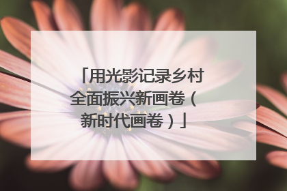 用光影记录乡村全面振兴新画卷（新时代画卷）