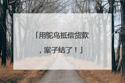 用鸵鸟抵偿货款，案子结了！