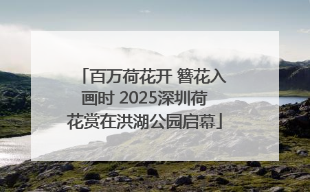 百万荷花开 簪花入画时 2025深圳荷花赏在洪湖公园启幕