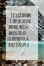 白话拆解丨要求美国降税 暗示施压美企 法德领导人同日发声