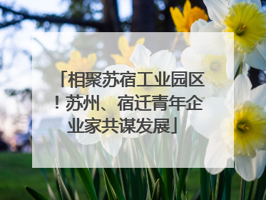 相聚苏宿工业园区！苏州、宿迁青年企业家共谋发展