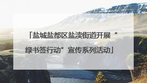盐城盐都区盐渎街道开展“绿书签行动”宣传系列活动