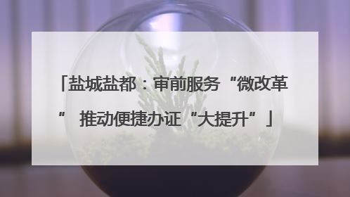 盐城盐都：审前服务“微改革” 推动便捷办证“大提升”
