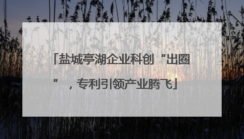 盐城亭湖企业科创“出圈”，专利引领产业腾飞
