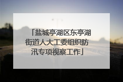盐城亭湖区东亭湖街道人大工委组织防汛专项视察工作