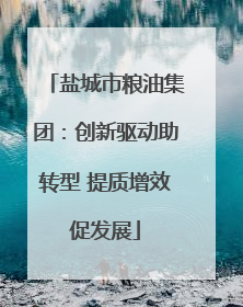 盐城市粮油集团：创新驱动助转型 提质增效促发展