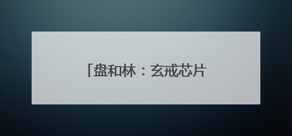 盘和林：玄戒芯片为小米打好了未来十年企业发展的基础