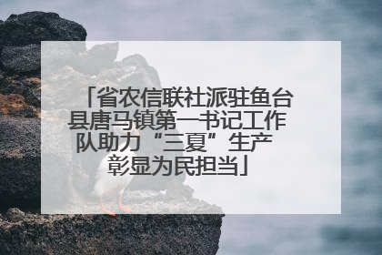 省农信联社派驻鱼台县唐马镇第一书记工作队助力“三夏”生产 彰显为民担当