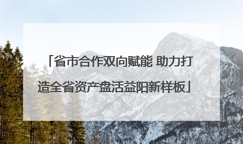 省市合作双向赋能 助力打造全省资产盘活益阳新样板