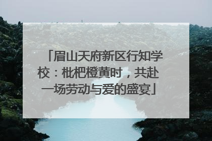 眉山天府新区行知学校：枇杷橙黄时，共赴一场劳动与爱的盛宴