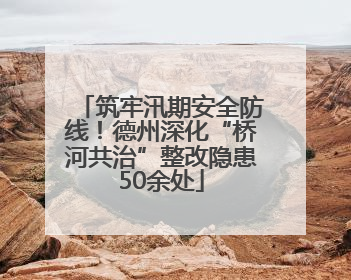 筑牢汛期安全防线！德州深化“桥河共治”整改隐患50余处