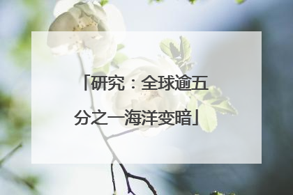 研究：全球逾五分之一海洋变暗