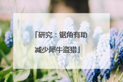 研究：锯角有助减少犀牛盗猎