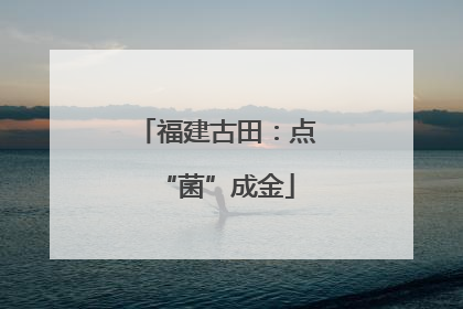 福建古田：点“菌”成金