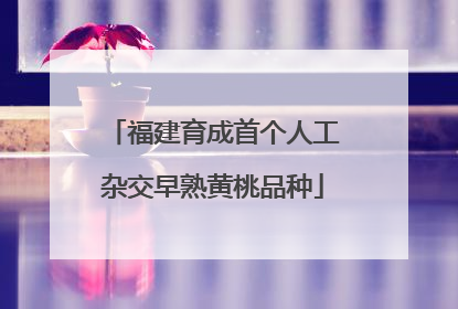 福建育成首个人工杂交早熟黄桃品种