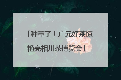种草了！广元好茶惊艳亮相川茶博览会