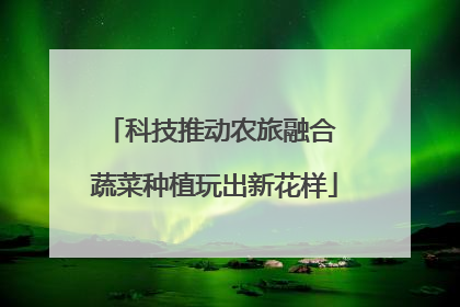 科技推动农旅融合 蔬菜种植玩出新花样