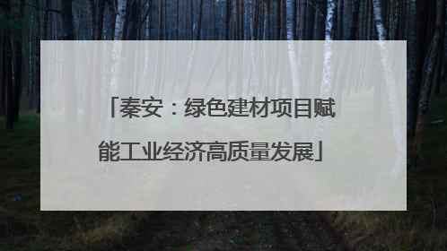 秦安：绿色建材项目赋能工业经济高质量发展