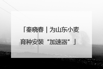 秦晓春｜为山东小麦育种安装“加速器”