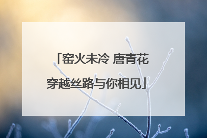 窑火未冷 唐青花穿越丝路与你相见