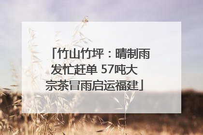 竹山竹坪：晴制雨发忙赶单 57吨大宗茶冒雨启运福建