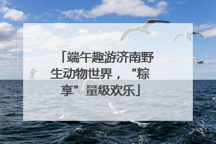端午趣游济南野生动物世界，“粽享”量级欢乐