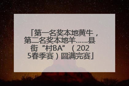 第一名奖本地黄牛，第二名奖本地羊……县街“村BA”（2025春季赛）圆满完赛