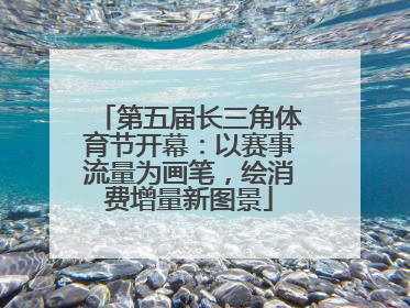 第五届长三角体育节开幕：以赛事流量为画笔，绘消费增量新图景