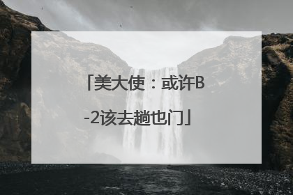 美大使：或许B-2该去趟也门
