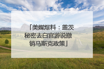 美媒爆料：盖茨秘密去白宫游说撤销马斯克政策