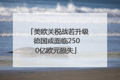 美欧关税战若升级 德国或面临2500亿欧元损失