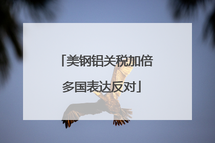 美钢铝关税加倍 多国表达反对